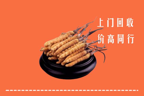 收购行情：大理州永平冬虫夏草回收多少钱每克